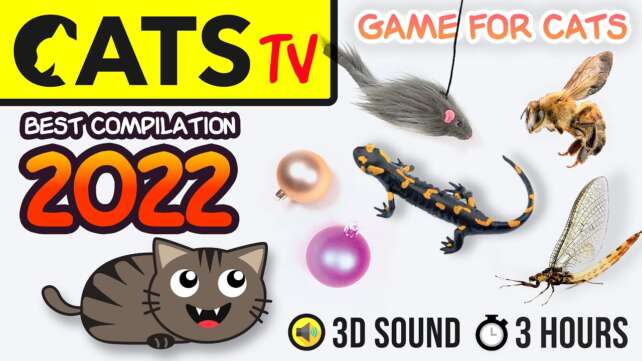 GAME FOR CATS - BEST 2023 Cats TV compilation ð¦ðª©ð­ [60fps] 3 HOURS