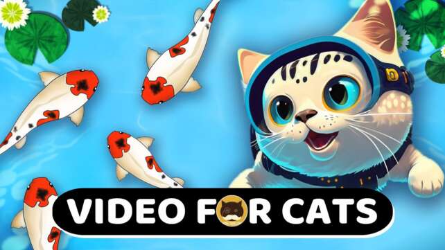 CAT GAMES - KOI FISH - 1 HOUR. Fish Video for Cats | CAT TV.