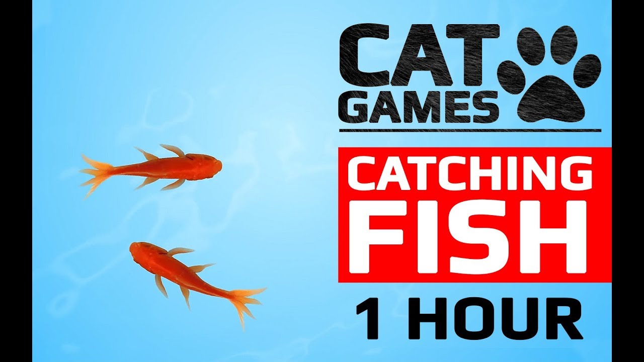CAT GAMES - ð CATCHING FISH 1 HOUR VERSION (VIDEOS FOR CATS TO WATCH)