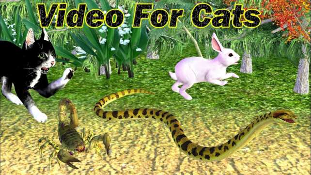 Cat games - Catching Scorpion, Rabbit, Snake! Cat Videos for Cats to Watch