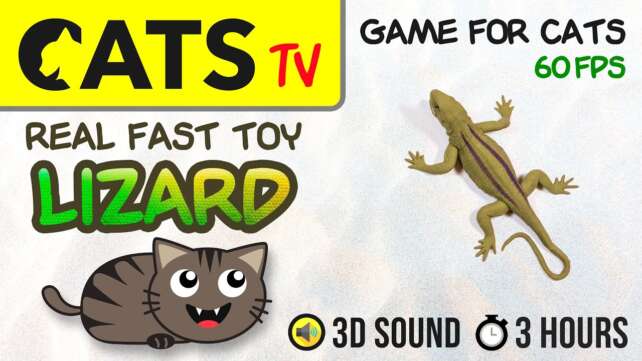 GAME FOR CATS - Fast Lizard Guecko ð¦ Toy 60fps ð´ 3 HOURS [CATS TV] Games on screen