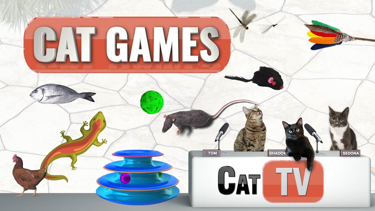 Cat Games | Ultimate Cat TV Compilation Vol 1 | ð¦
