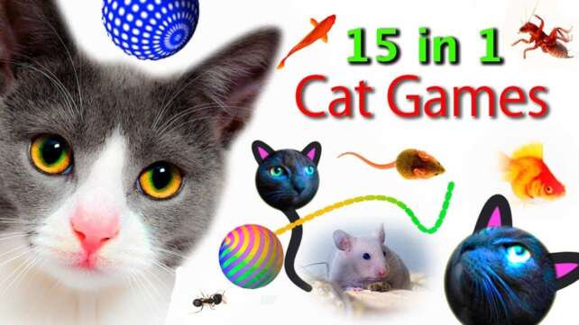 15 CAT GAMES IN 1 VIDEO : Fish, laser, rope, mouse etc. Videos for Cats to Watch on Screen - CAT TV
