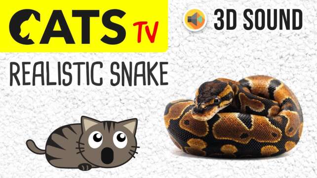 CATS TV - Catching Realistic Snake 🐍 3 HOURS (Game for cats to watch)