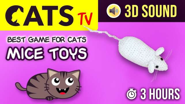 Game For Cats - Catch the MICE TOYS 🐁 60FPS - 3 HOURS [CATS TV]