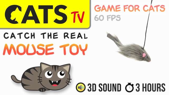 GAME FOR CATS - Real mouse toy  🐭🙀 - 3 HOURS [60FPS]