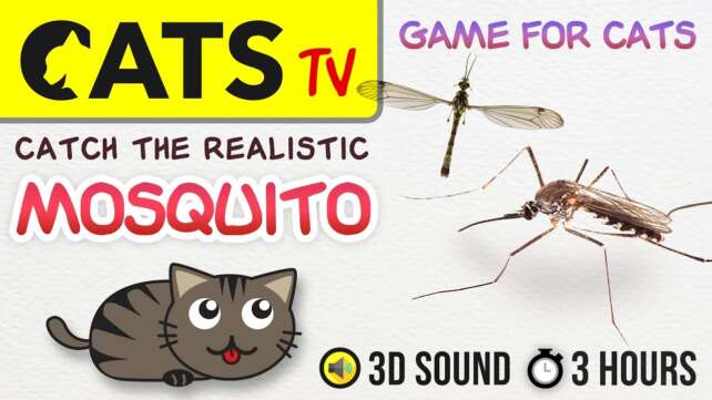 GAME FOR CATS - Realistic Mosquito 🦟 [CATS TV] 3 HOURS