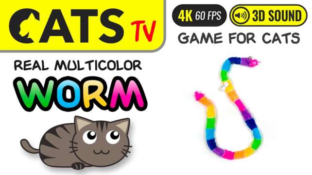 GAME FOR CATS - Real multicolor worm 🪱😻 4K 🔴 60FPS 🕒 3 HOURS [Cats TV]