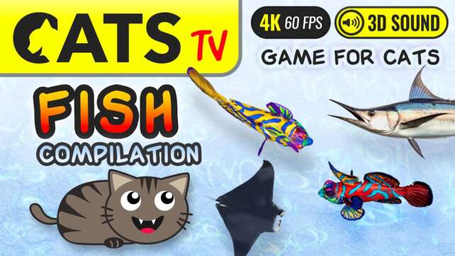CATS TV - Fish Compilation ð ð» 3D Sounds ð«§ for Cats & Dogs ðºð¶ð± 4K ð´ 60FPS