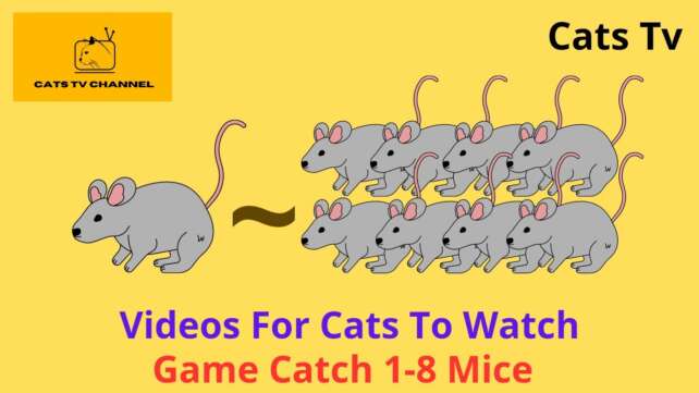 Cats Tv - Videos of 1-8 Animated Mice Walking and Running Around / Video Games For Cats to Watch