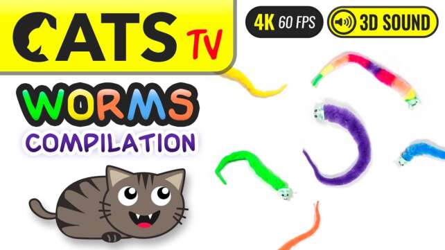 GAME FOR CATS - Worms compilation ð¼ 4K ð´ 60FPS ð 3 HOURS [Cats TV]