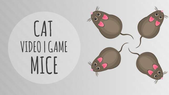 MICE VIDEO FOR CATS TO WATCH | GAME FOR CATS
