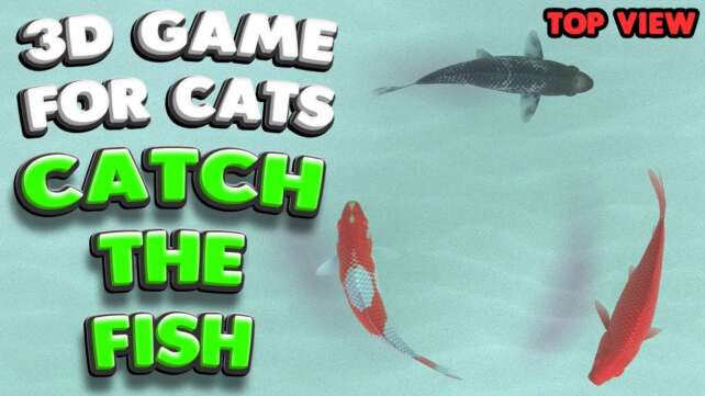 3D game for cats | CATCH THE FISH (top view) | 4K, 60 fps, stereo sound