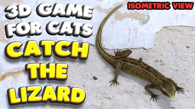 3D game for cats | CATCH THE LIZARD (isometric view) | 4K, 60 fps, stereo sound