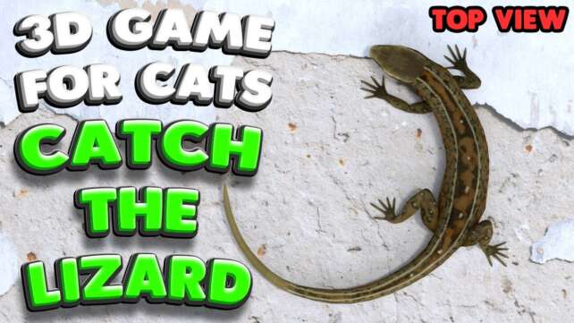 3D game for cats | CATCH THE LIZARD (top view) | 4K, 60 fps, stereo sound
