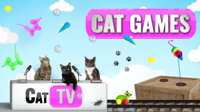 Cat Games | Ultimate Cat TV Compilation Vol 5 | ð¦ ð  ð¹ ð ð