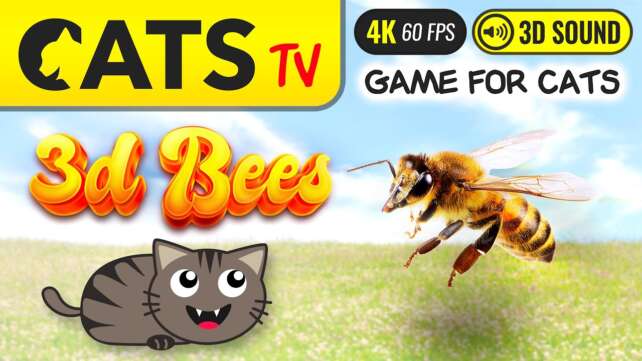 CATS TV - 3D Realistic Bees ð Best game for CATS ð»ðº [4K]