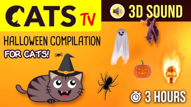 CATS TV - Halloween Compilation ð Games for cats ð 3 HOURS