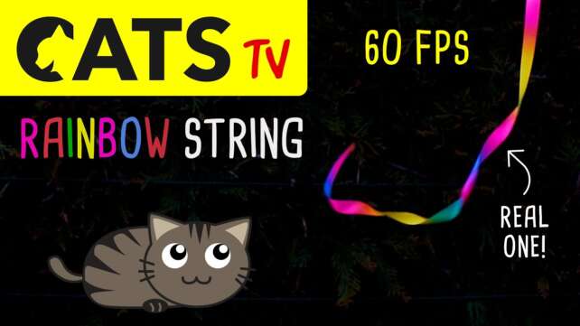 CATS TV - Rainbow String Thing 60FPS - 3 HOURS (Game for cats to watch)