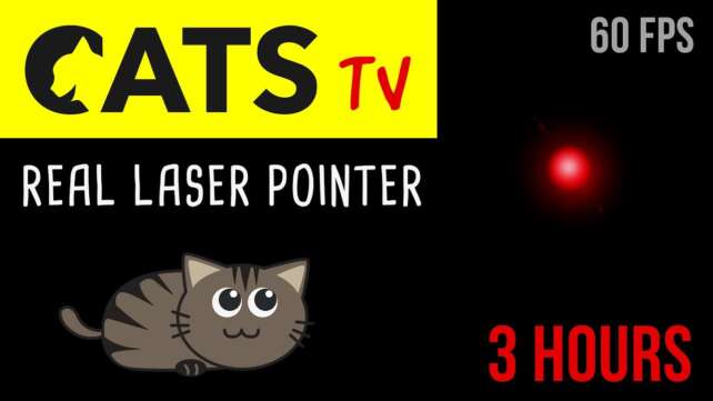 CATS TV - Real Laser Chaser 60FPS ð´ - 3 HOURS (Video Game for Cats Only)