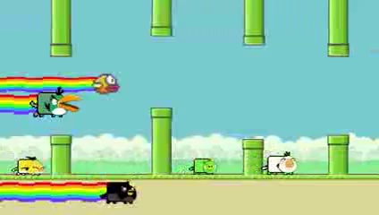 Nyan Flappy bird meets Nyan angry birds(nyan cat parody)